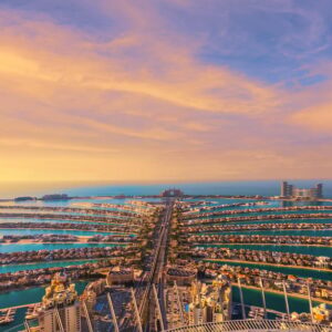 The View At The Palm