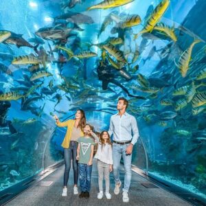 Dubai Aquarium & Underwater Zoo