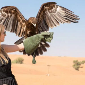 Royal Eagle Desert Safari