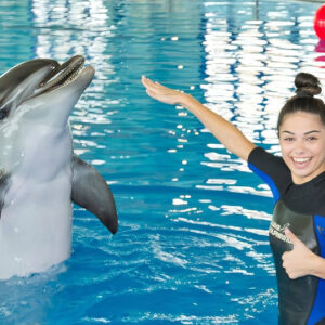 Dubai Dolphinarium